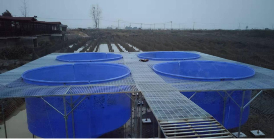 嘉鱼县“零排放”圈养系统及水质在线监测系统项目