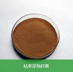 光伏储能式微生物自动投加系统