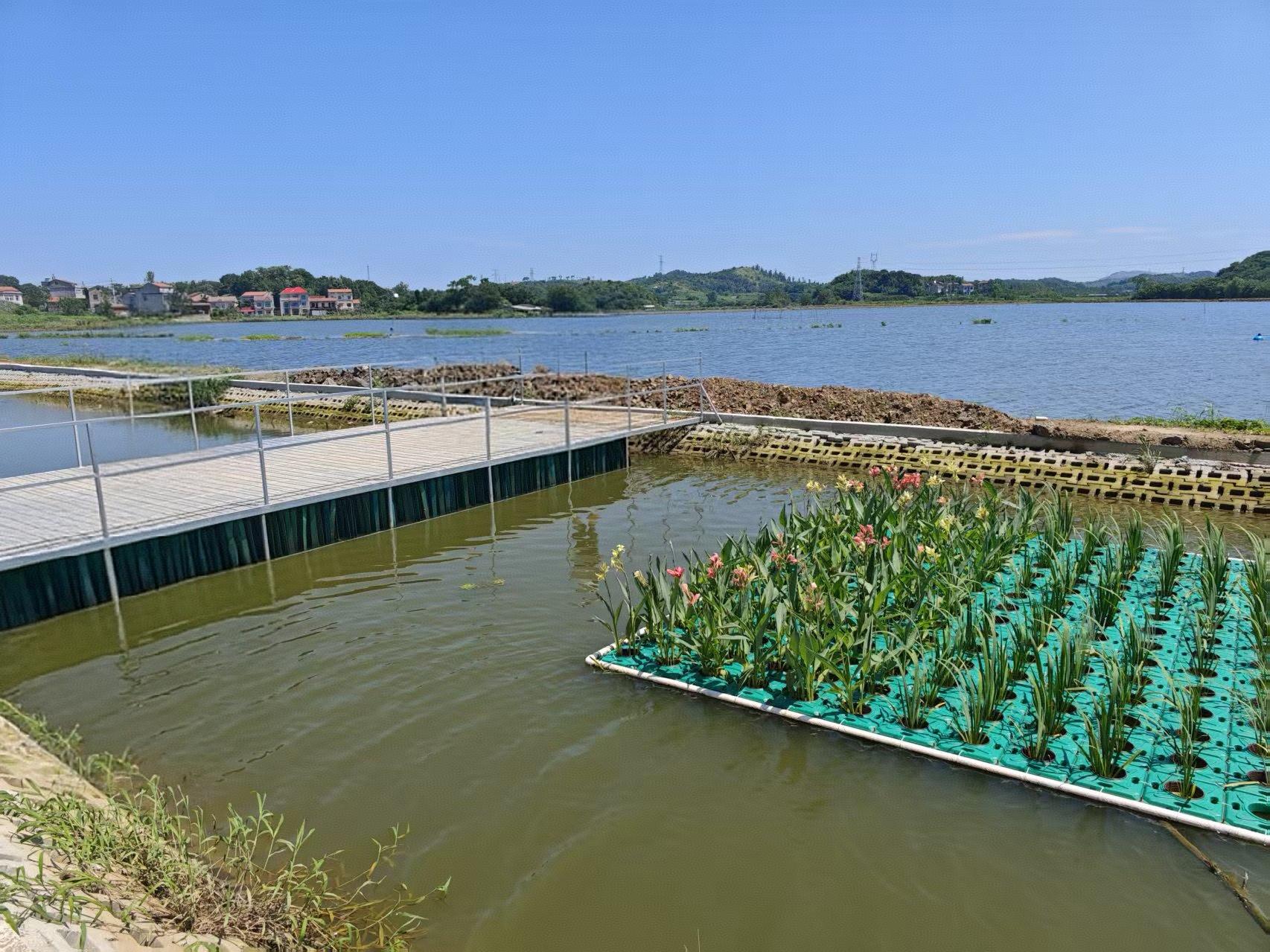 浠水县连二湖养殖片区标准化改造和尾水治理项目
