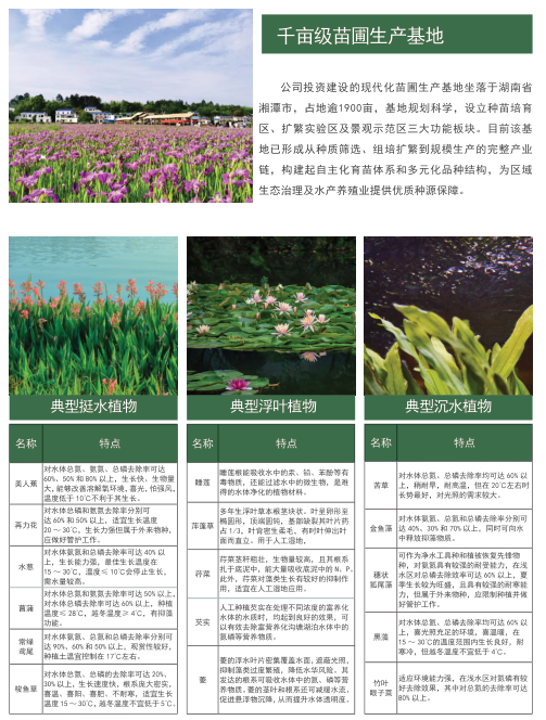 企业微信截图_17551653628467.png